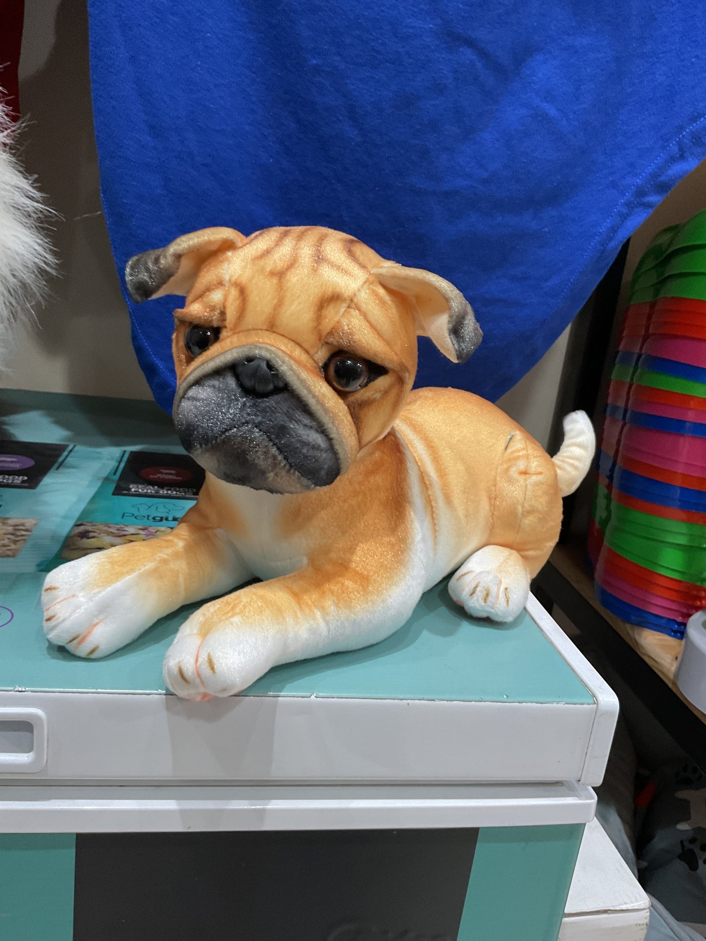 Peluche Pug