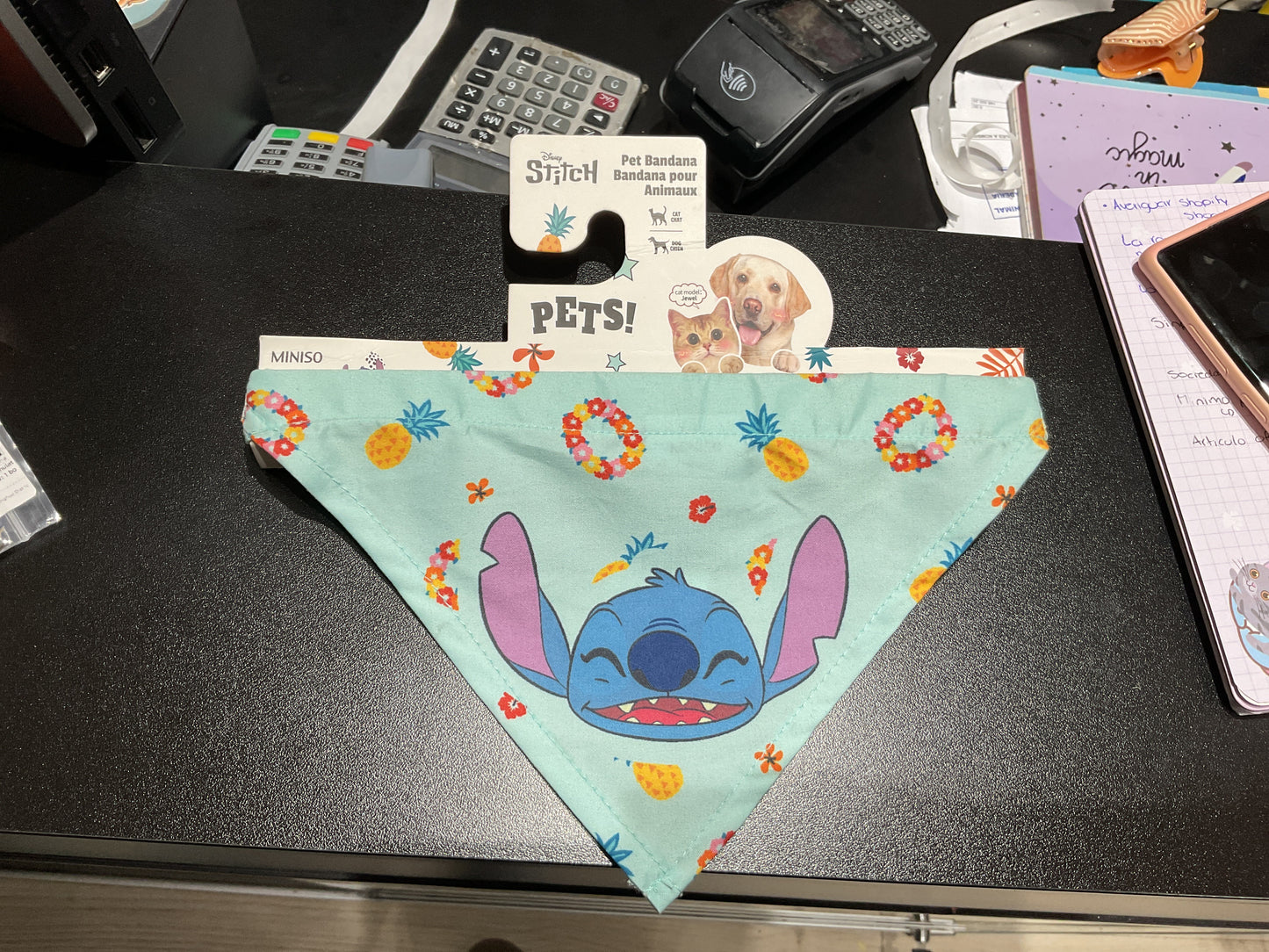 Bandana Stitch