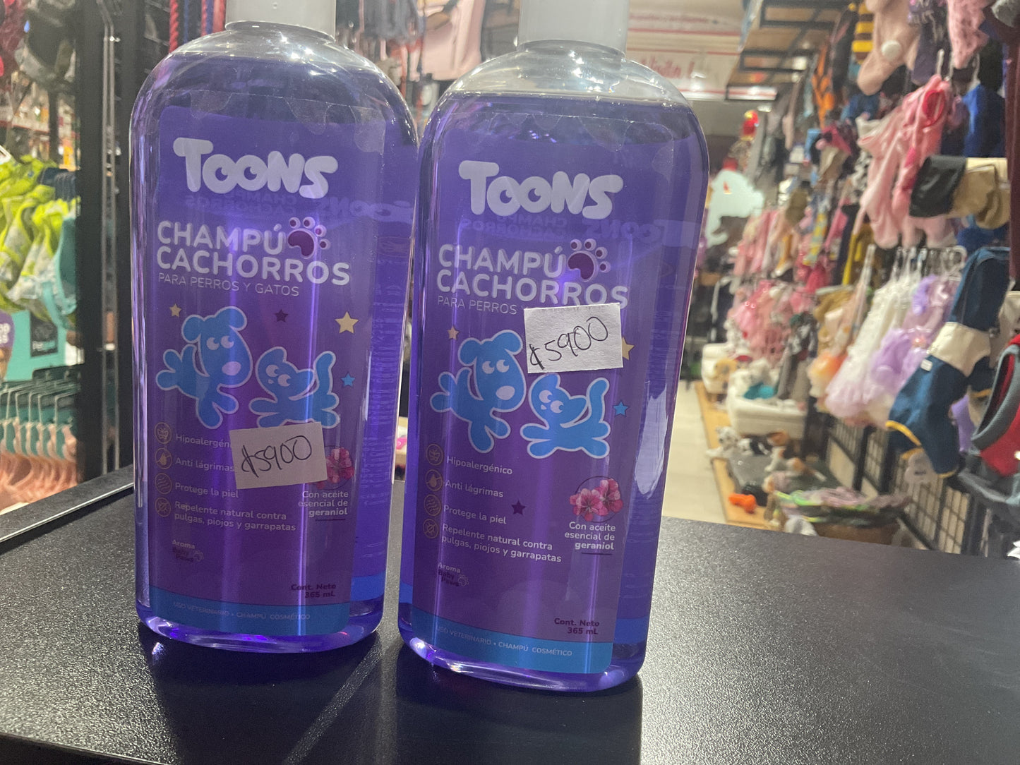 Champo toons