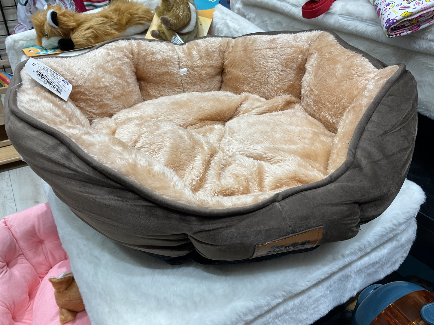 Cama1876