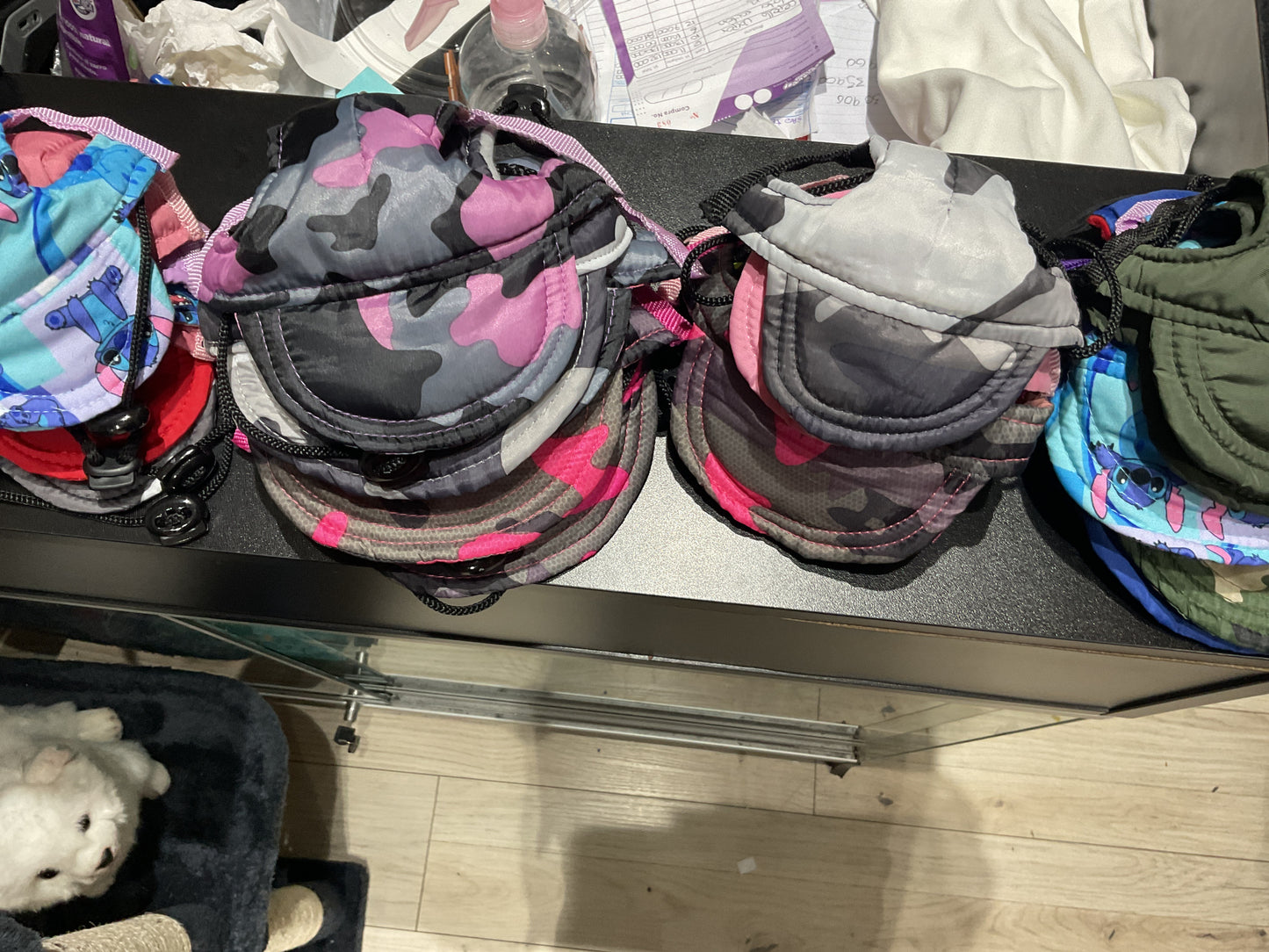 Gorra para mascotas