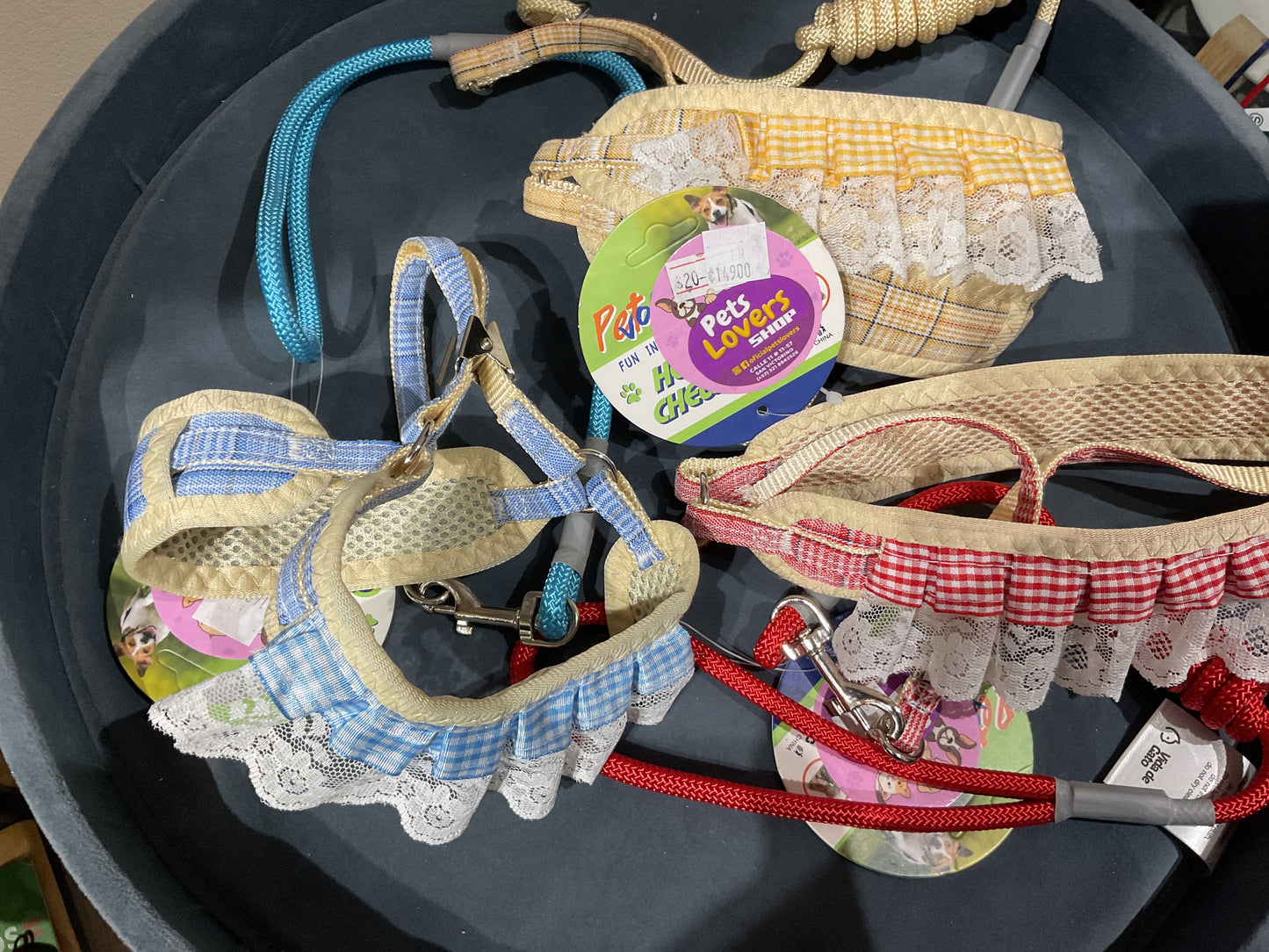 Correa con pechera PET lover