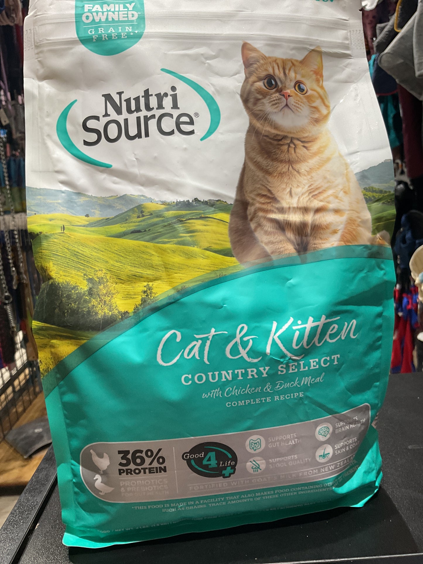 Cat kitten country selec