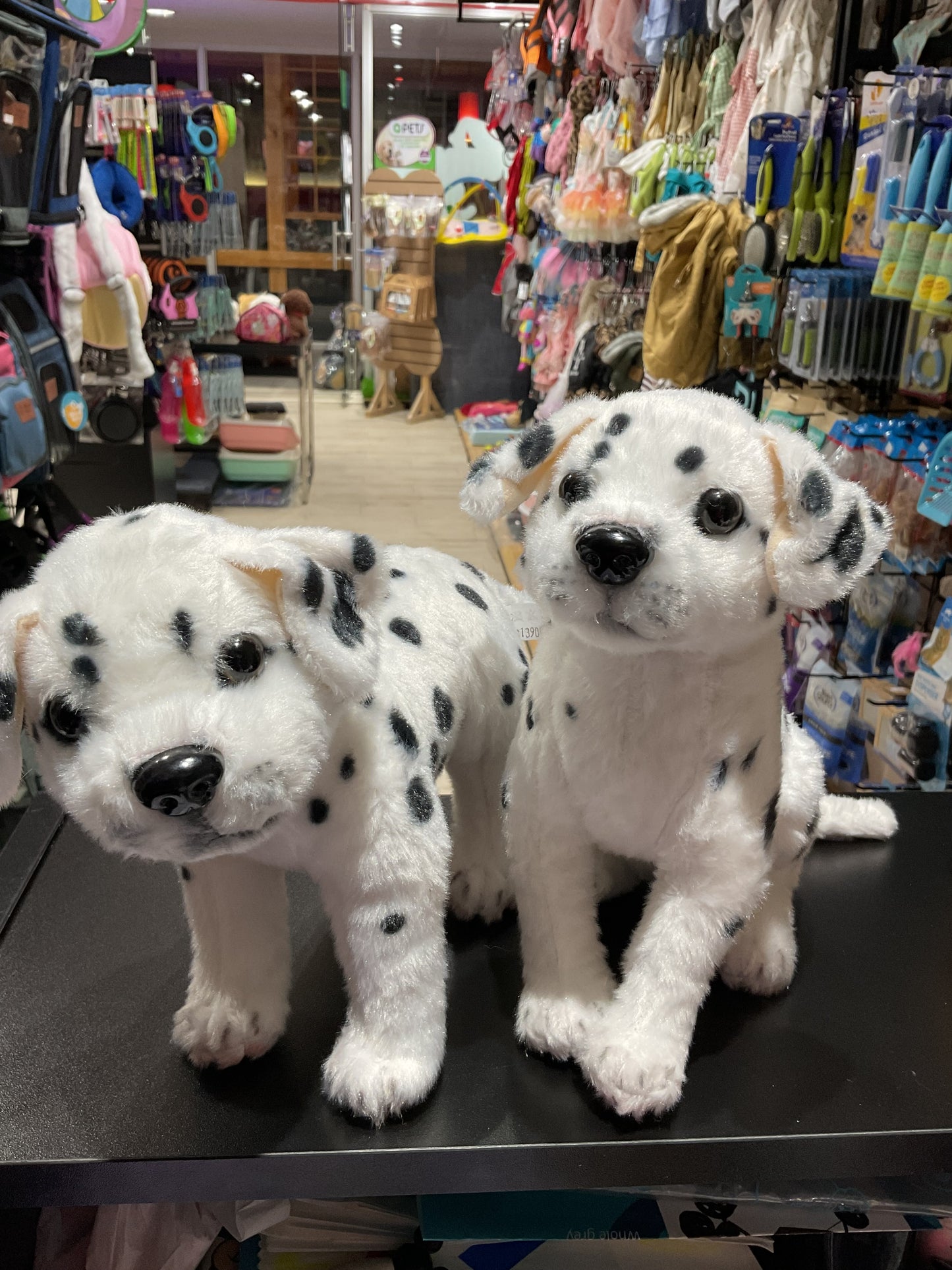 Peluches Dalmatas