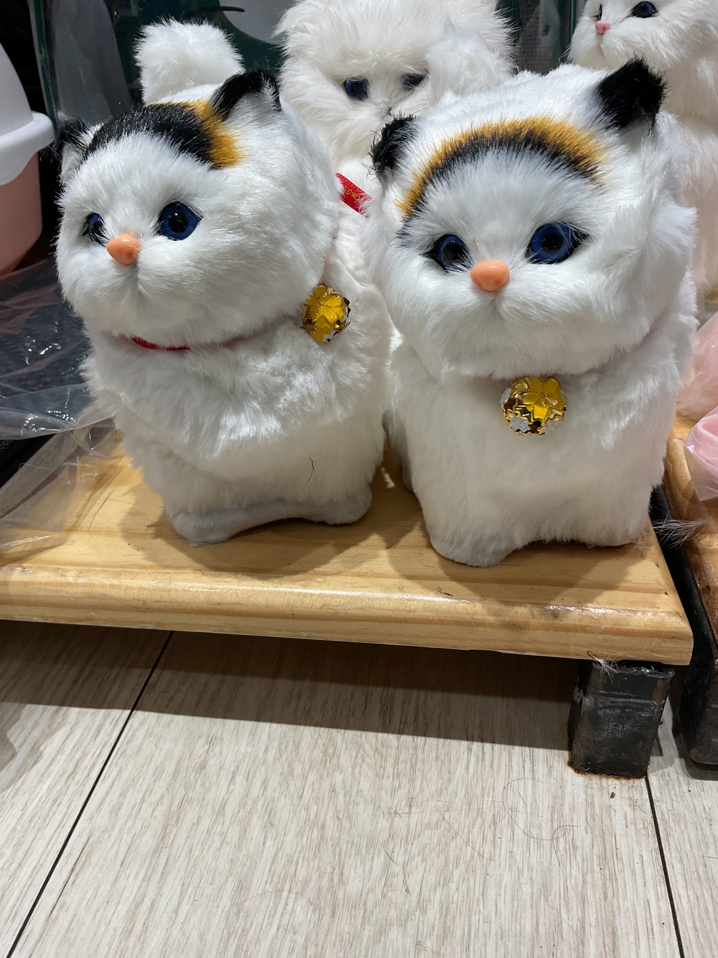 Peluche Gatos