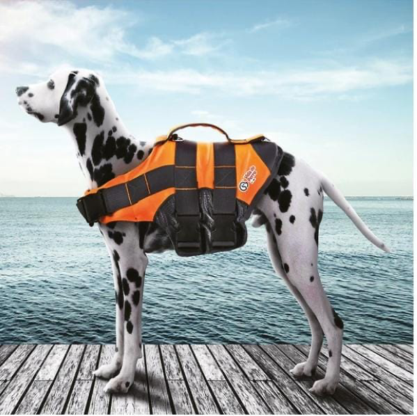 Chaleco Salvavidas para Mascota 001