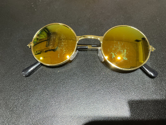 Lentes para mascota