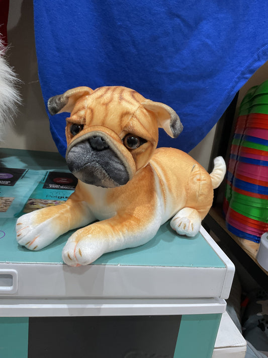 Peluche Pug