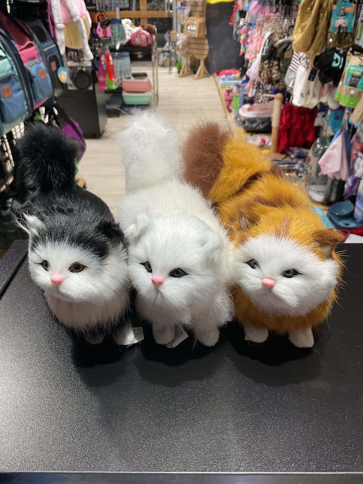 Peluches Gato 055
