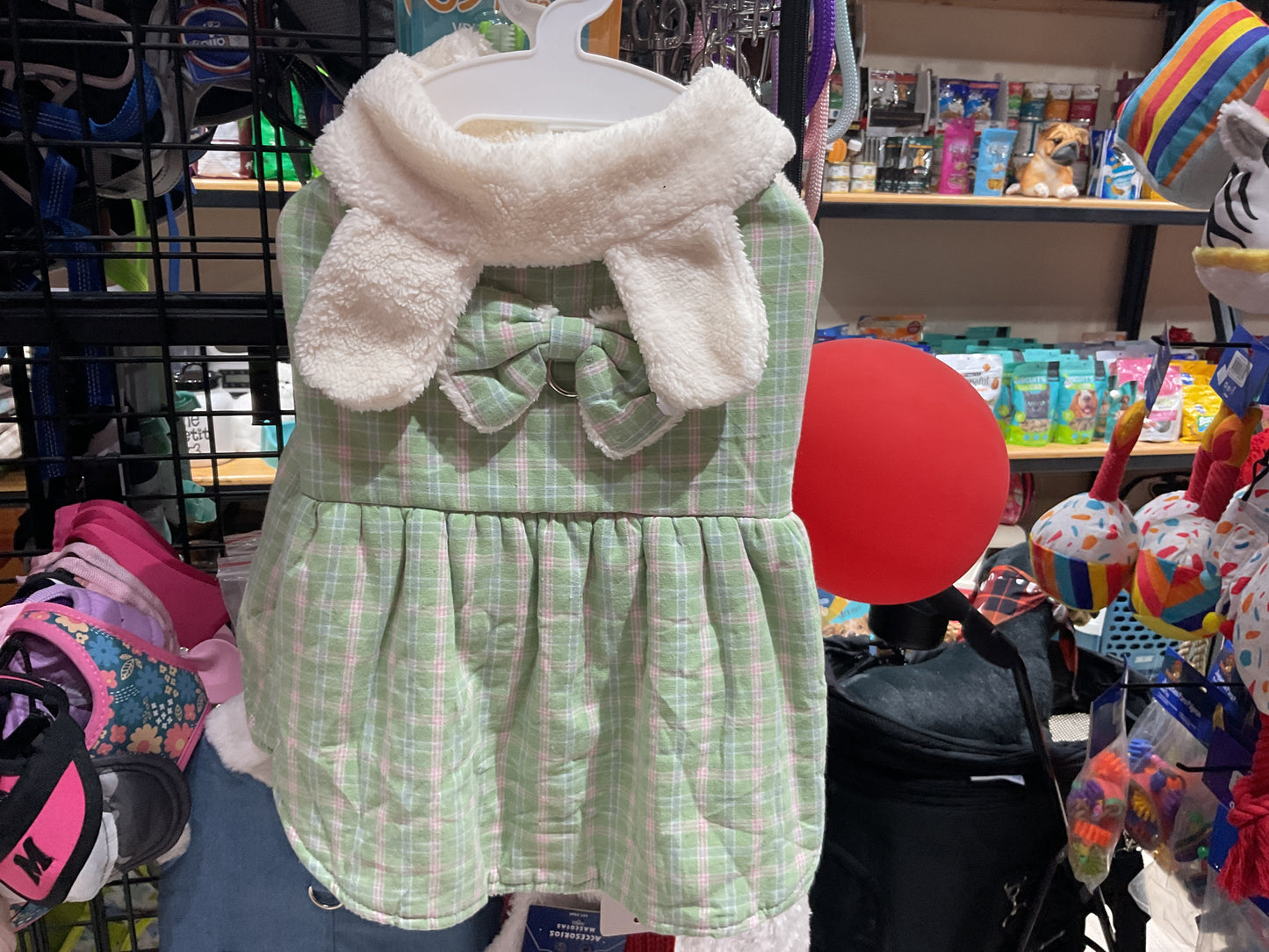 Traje lazo verde