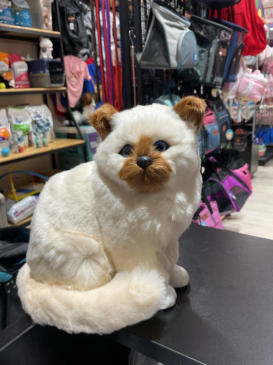 Peluche Gato