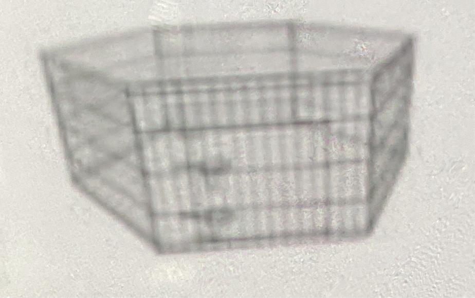 Jaula para mascota 76cm x61cm