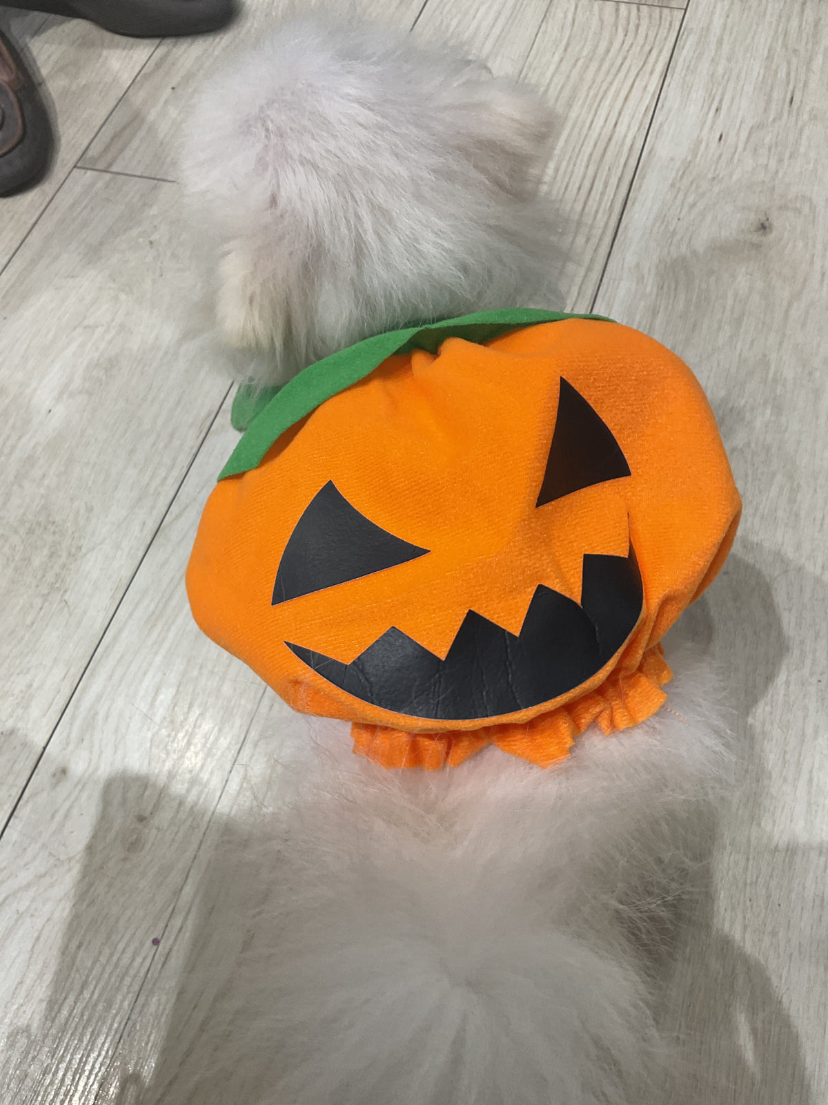 Traje de calabaza