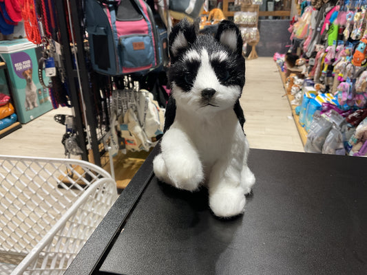 Peluche pomsky