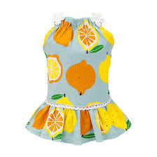 Vestido de Limones para Mascota