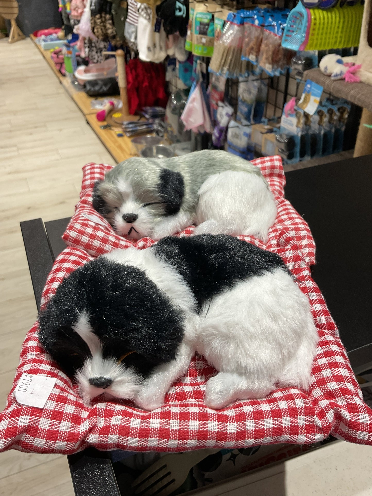 Peluches Perros Dormidos
