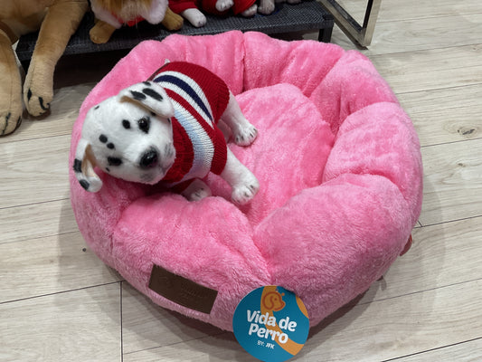 Cama flor vida de perro M 123