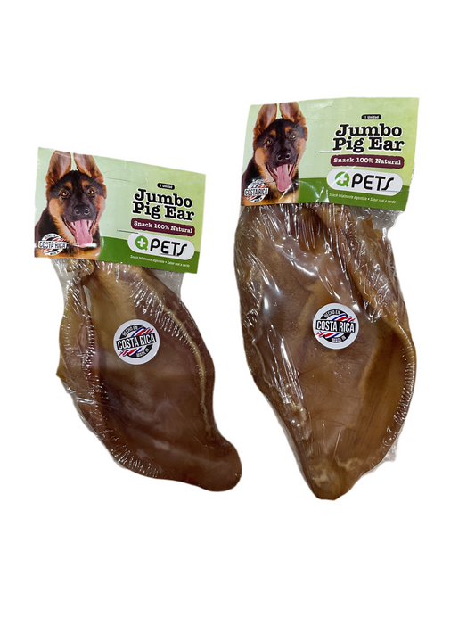 Jumbo pig Ear
