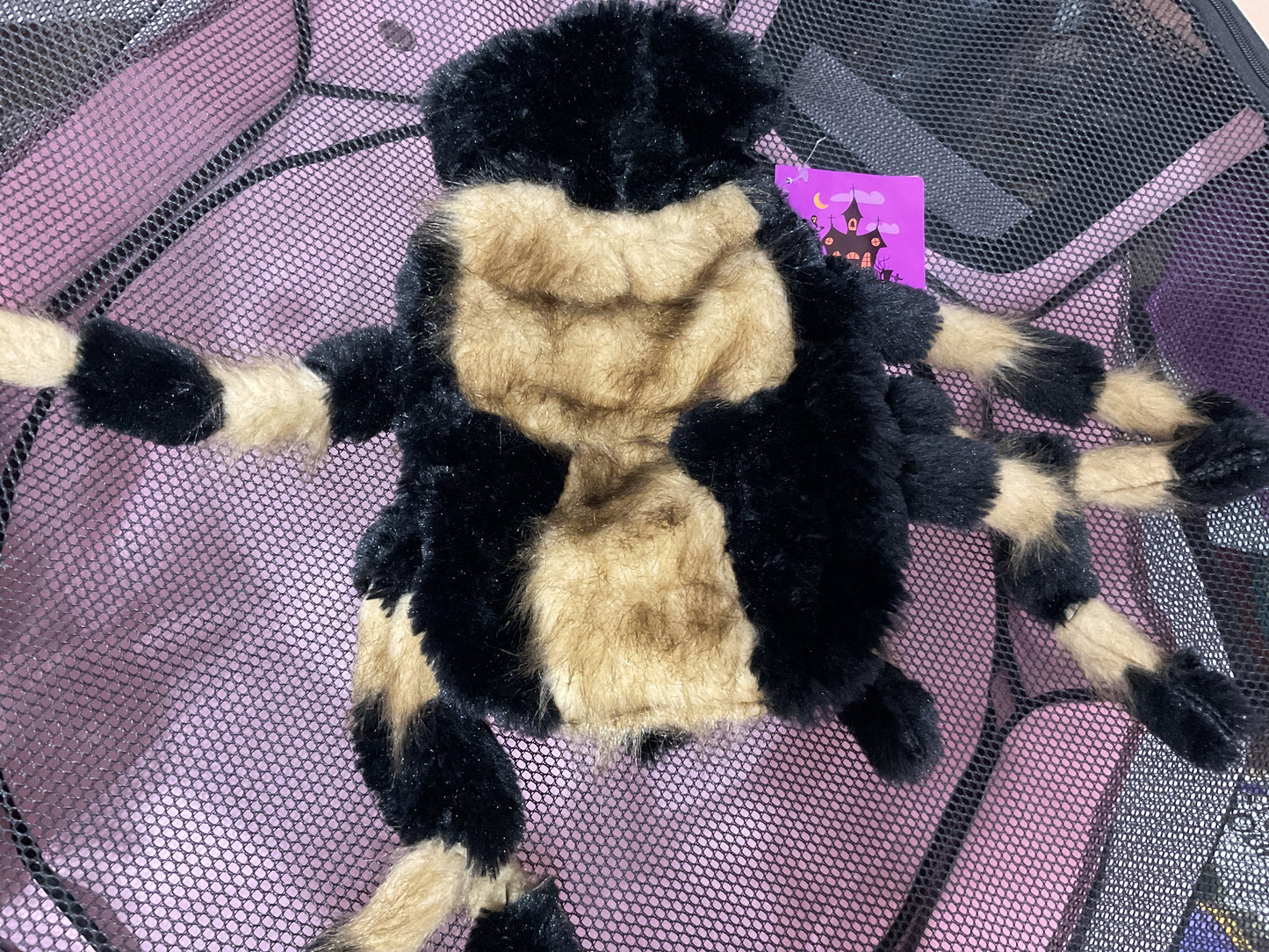 Araña