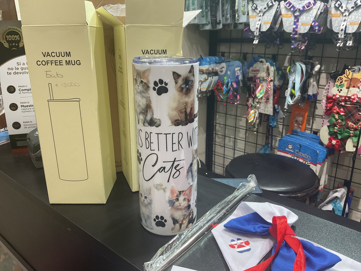 Botella gato