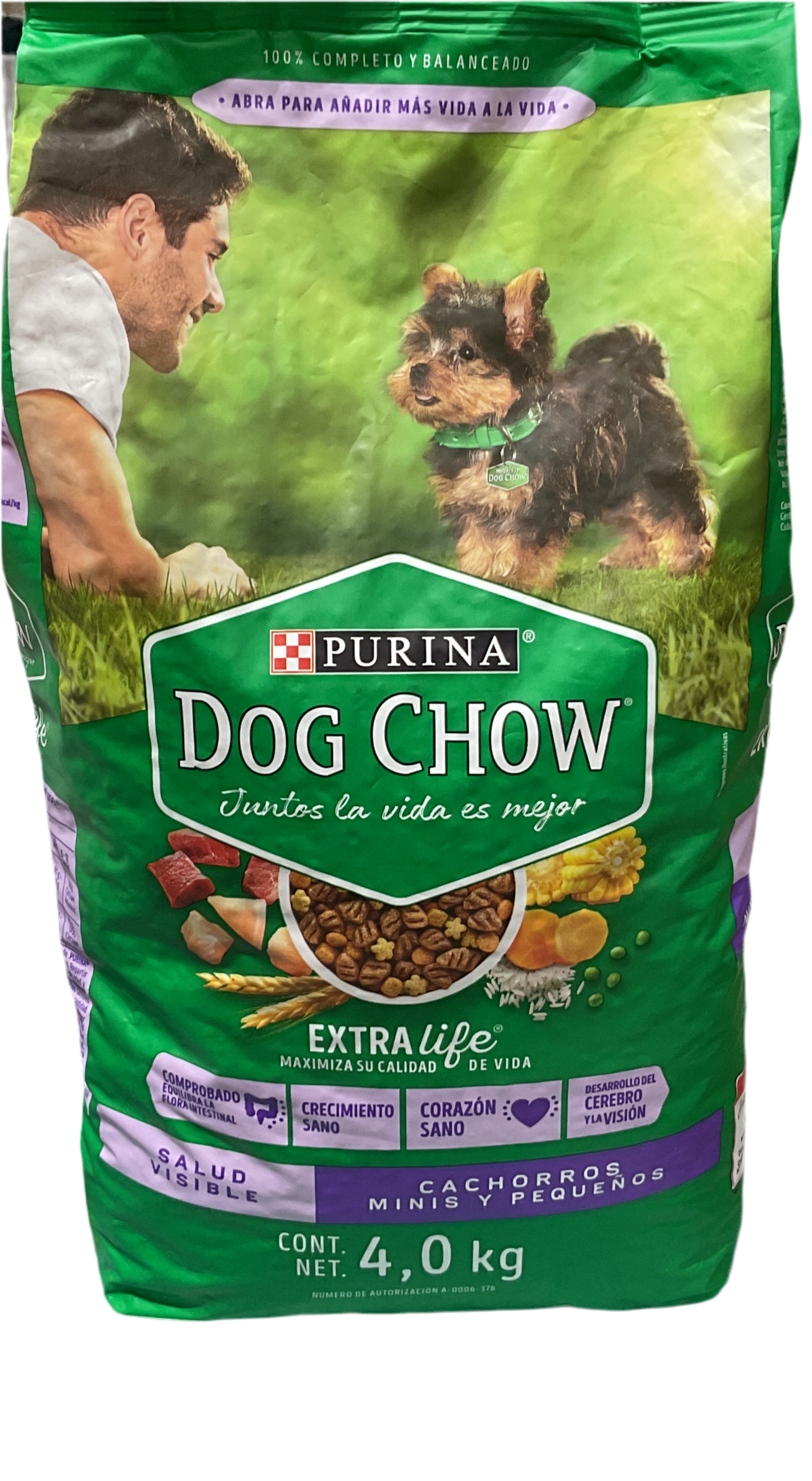 Cachorros mini dog chow
