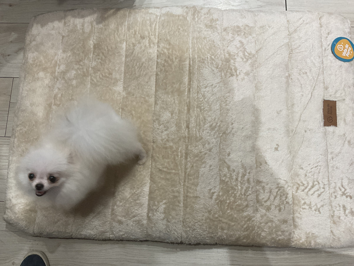 Cama 4043l beige