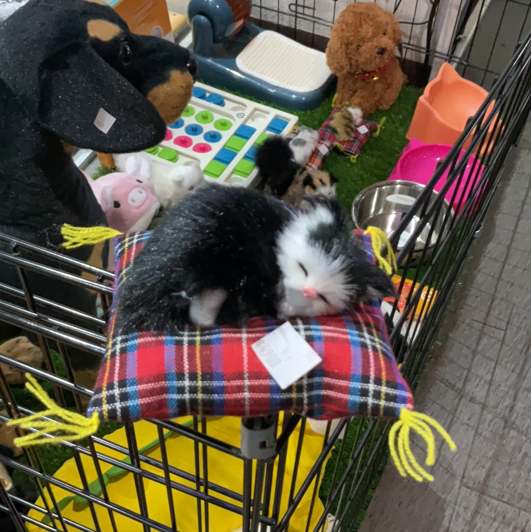 Peluches Gato Pequeños