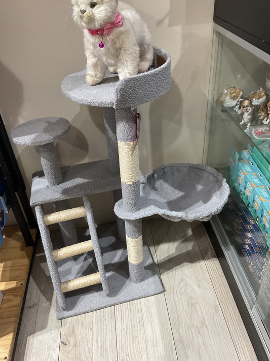 Rascador gris pequeño