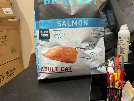Bravery salmón  adulto