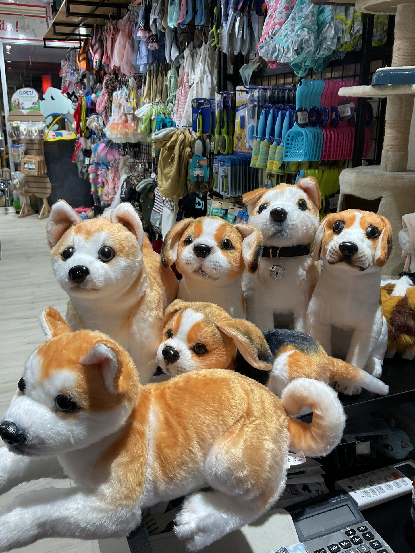 Peluches Variedad