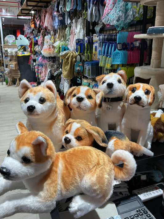 Peluches Variedad