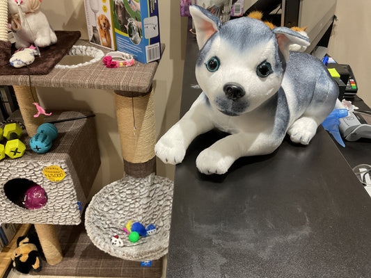 Peluche