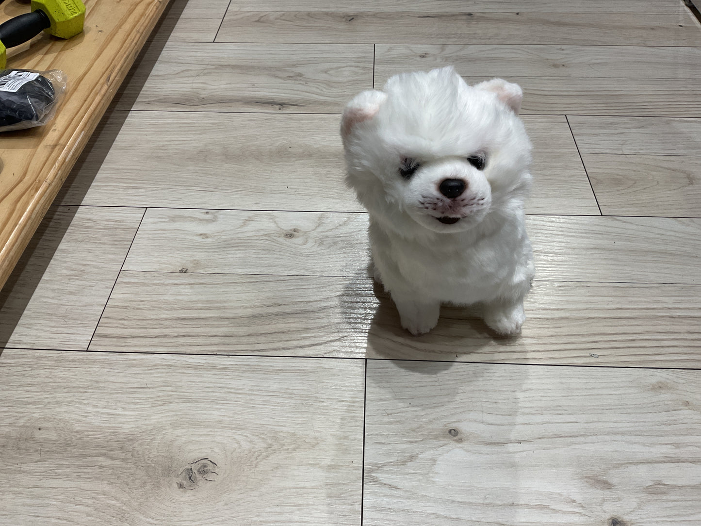 Peluche blanco pome