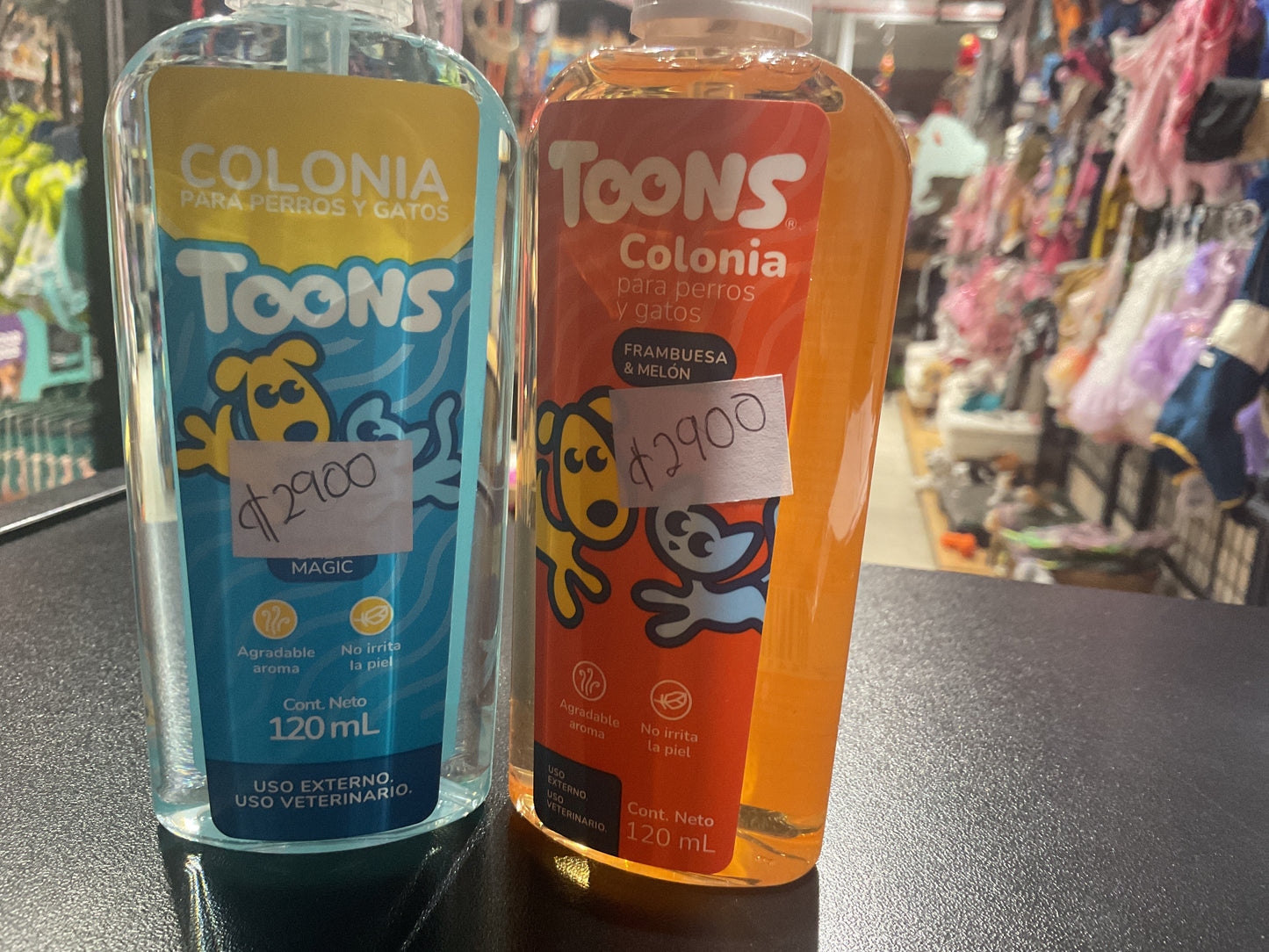 Colonia toons