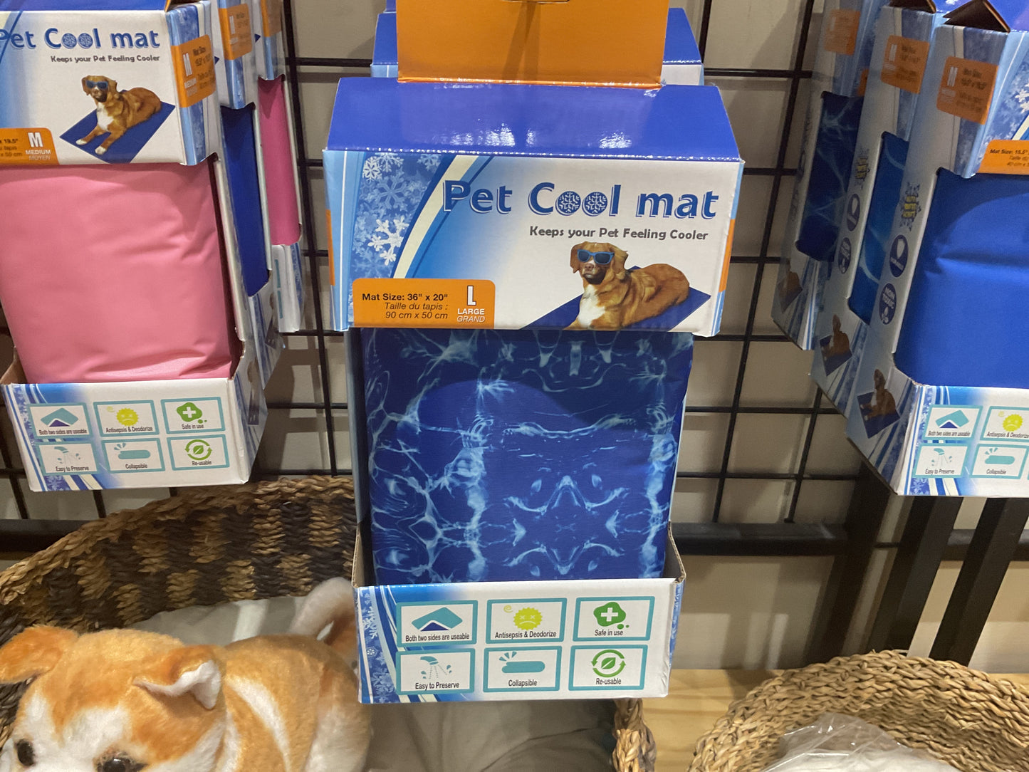 Manta fria L