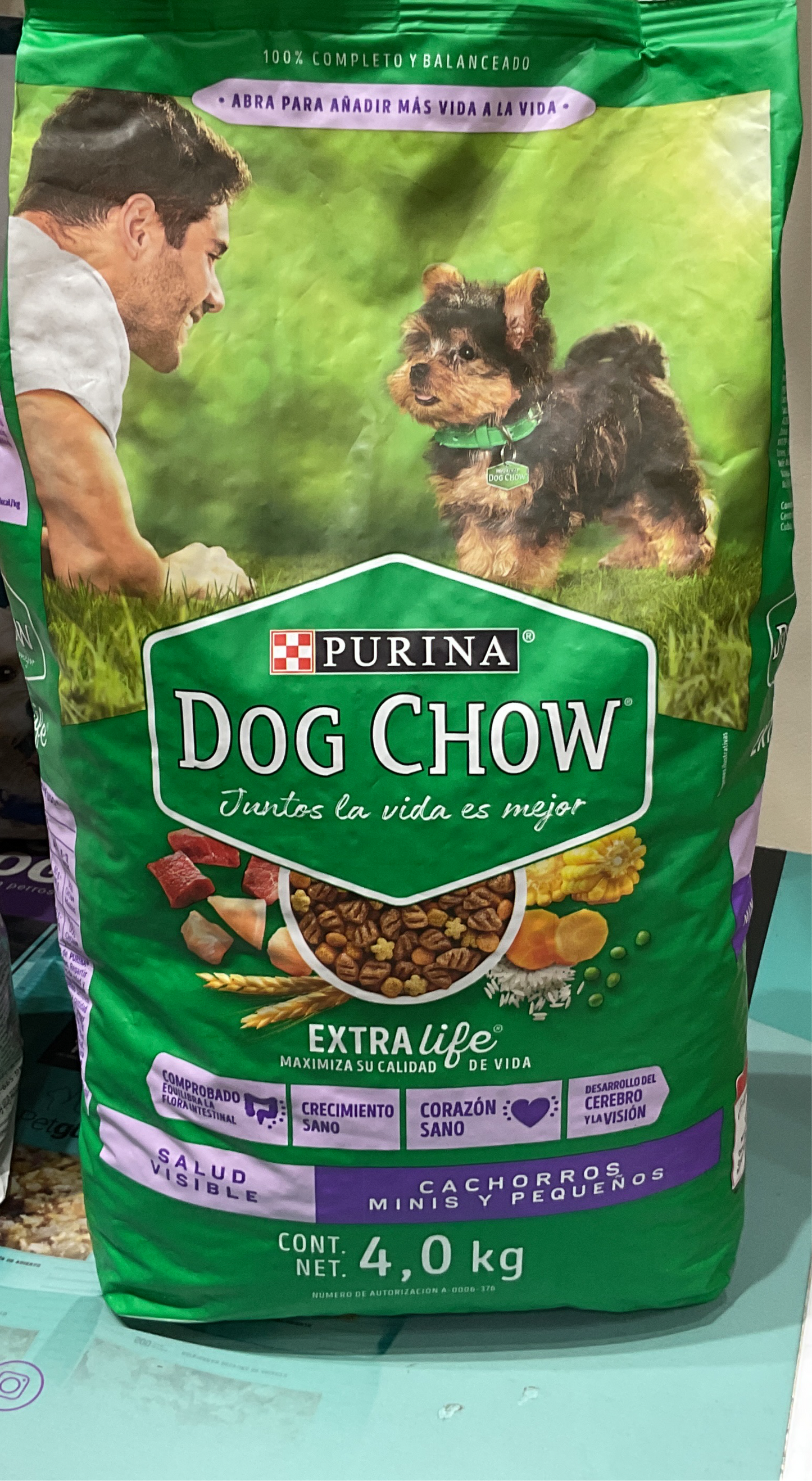 Cachorros mini dog chow