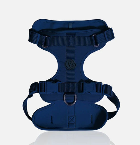 Pechera azul M  1013