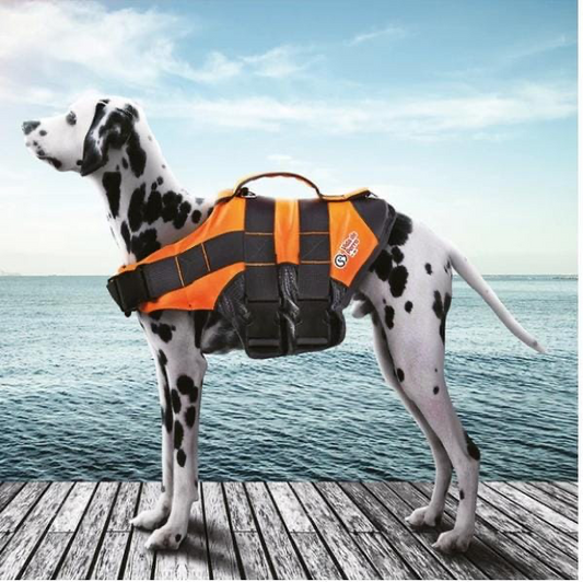Chaleco Salvavidas para Mascota 001