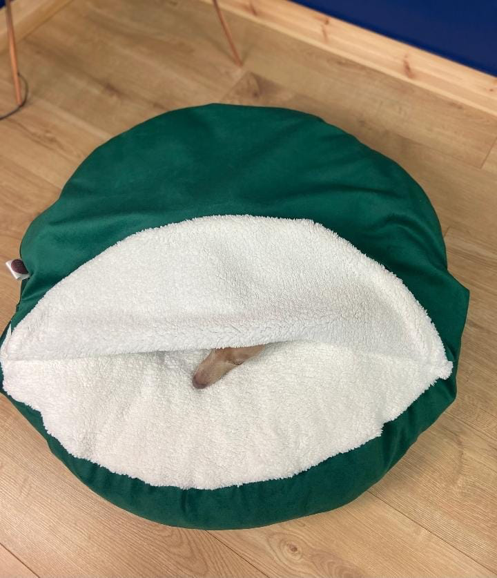 Cama para mascota