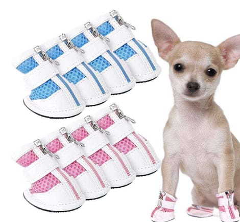 Zapatos para Mascotas