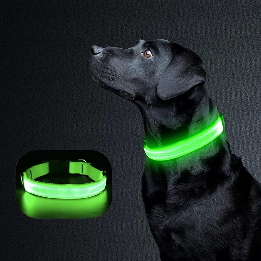 Collar para mascota luz led