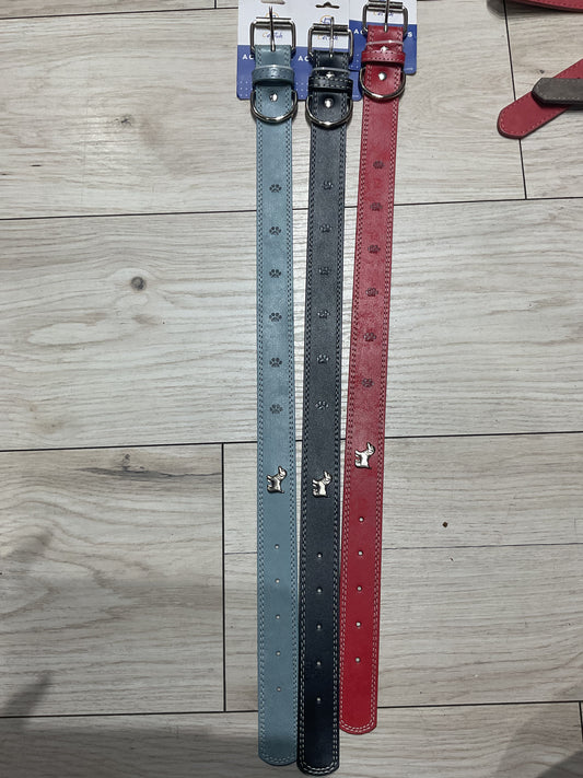 Collar para perro