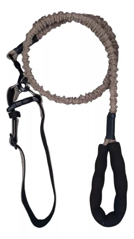 Collar y correa con correa elástico
