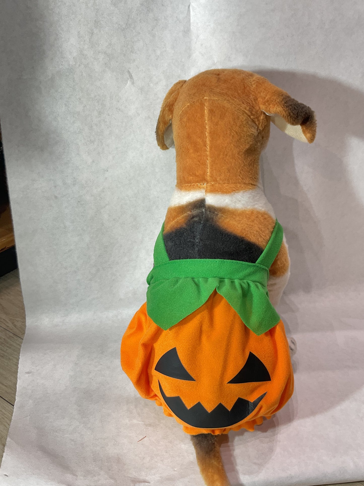 Traje de calabaza