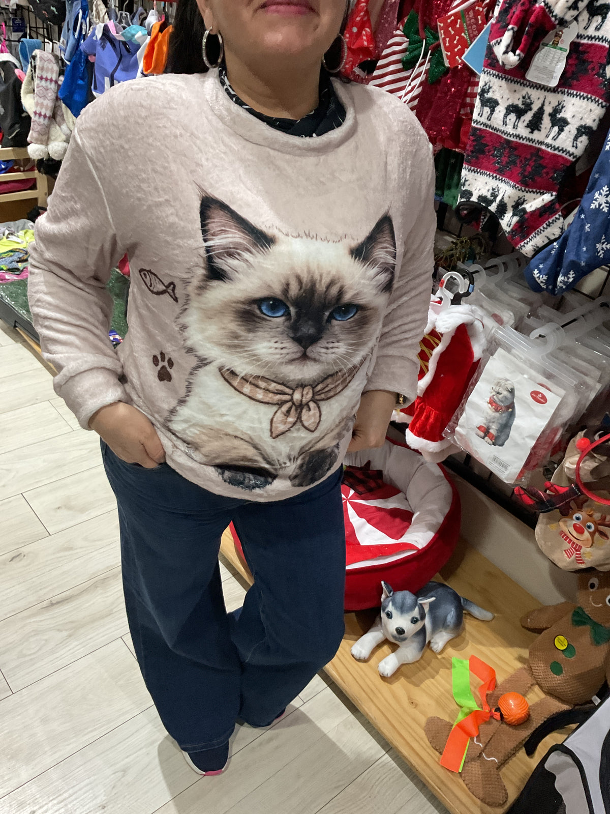Sueta de gato