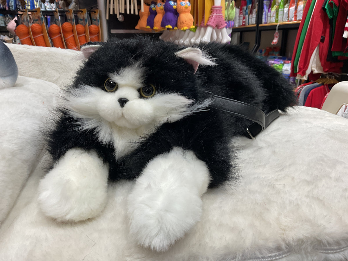 Gato bolso
